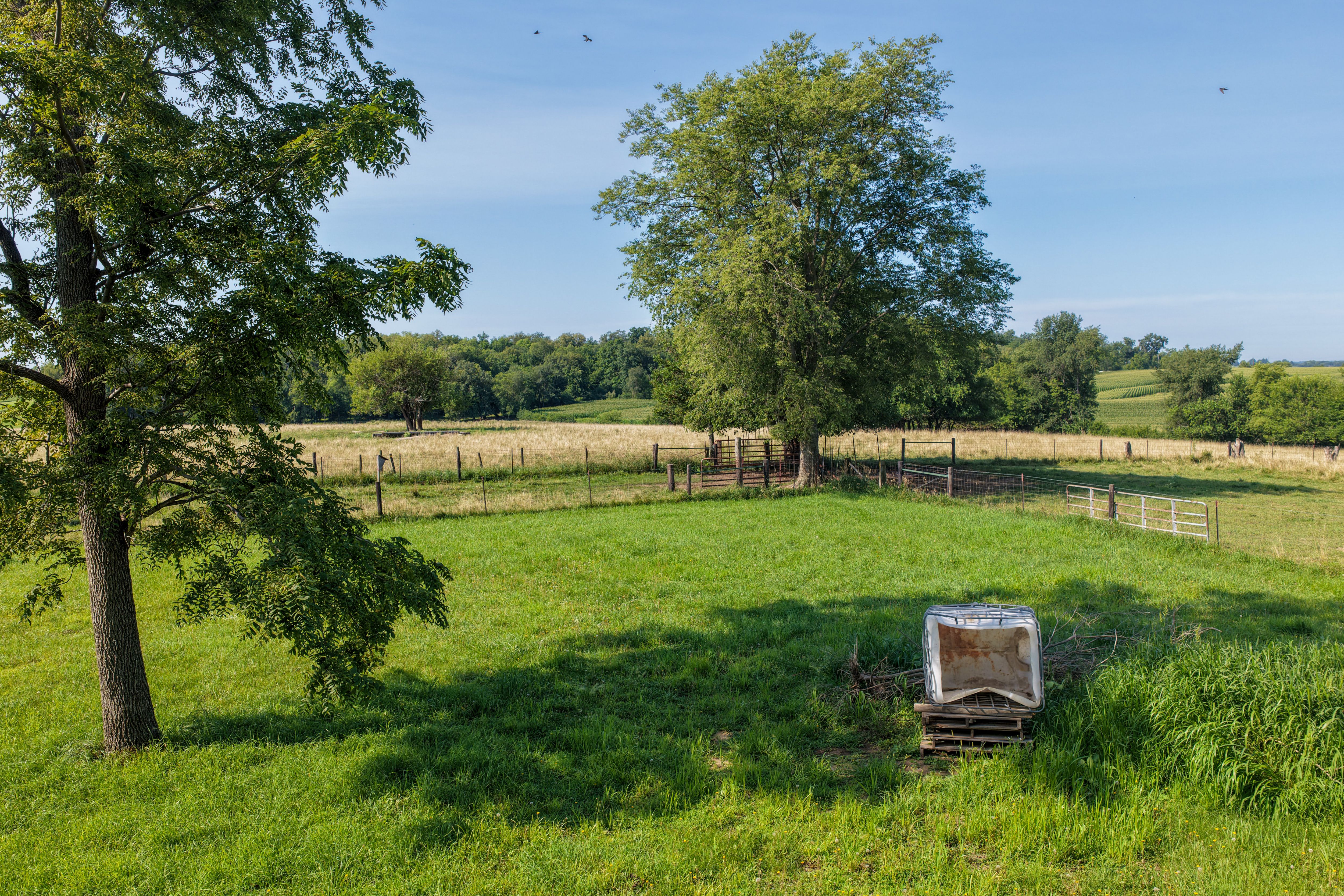 Listing Photo: Land for Sale Johnson County Iowa-13